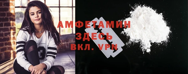 крисы Козловка