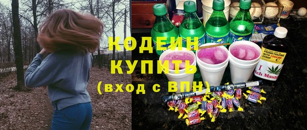 крисы Яранск