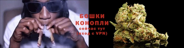 первитин Козельск