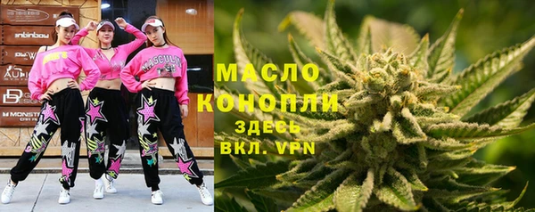 крисы Козловка