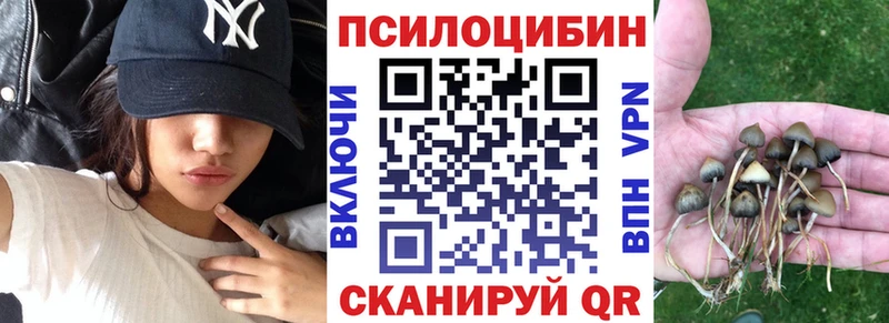 что такое mega Псилоцибиновые грибы GOLDEN TEACHER Краснодар