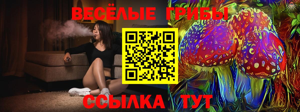 Псилоцибиновые грибы Psilocybine cubensis  Вход с VPN  Краснодар 