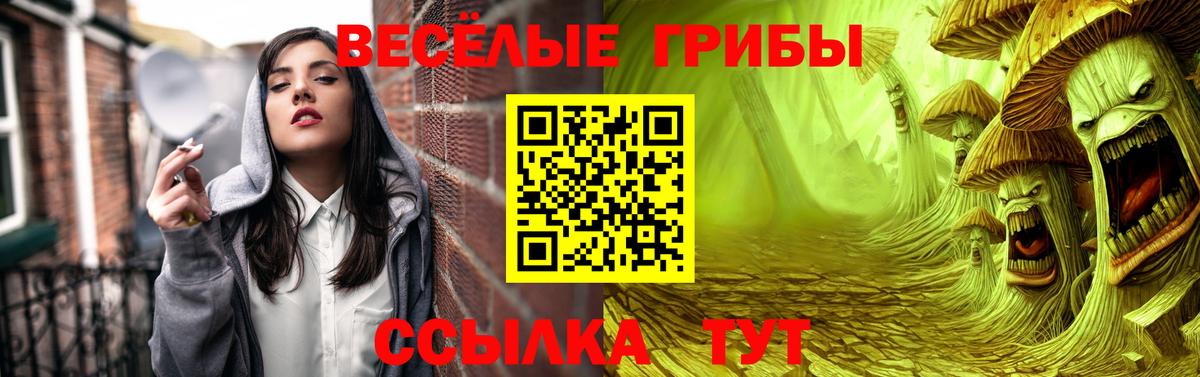 Галлюциногенные грибы MAGIC MUSHROOMS  Краснодар  Псилоцибиновые грибы MAGIC MUSHROOMS 