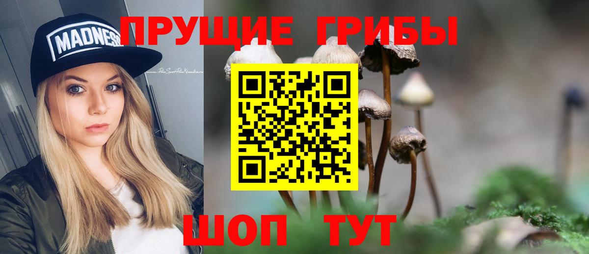 Галлюциногенные грибы MAGIC MUSHROOMS Краснодар